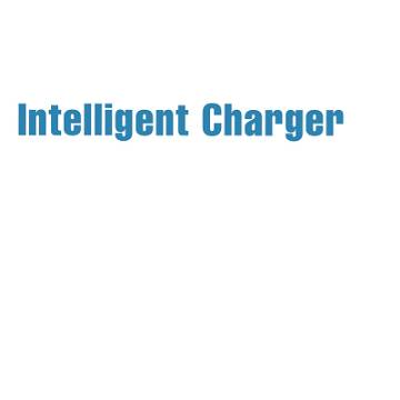 Intelligent Charger